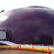 Image for article titled An Inflatable Concert Hall Inspired By… Giant Plums?
